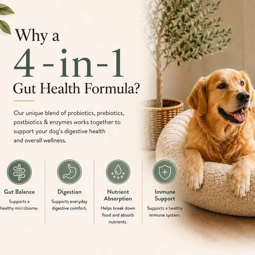 Survipet Digestive Probiotics for Dogs