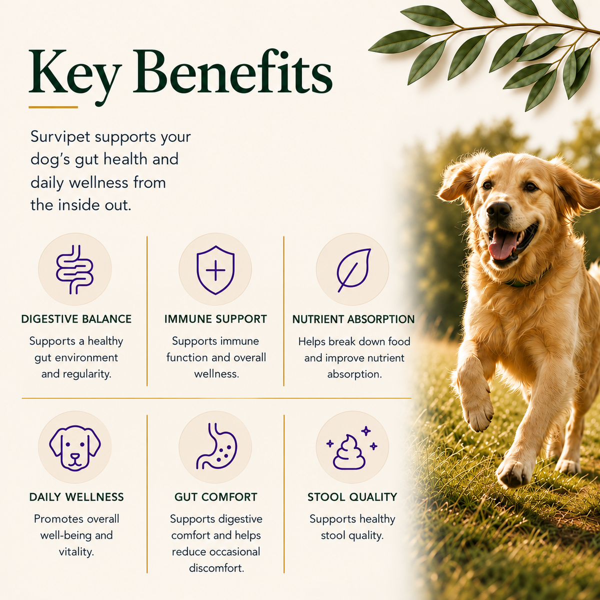 Survipet Digestive Probiotics for Dogs